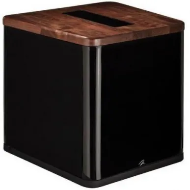 Сабвуфер Martin Logan BalancedForce 210 Walnut